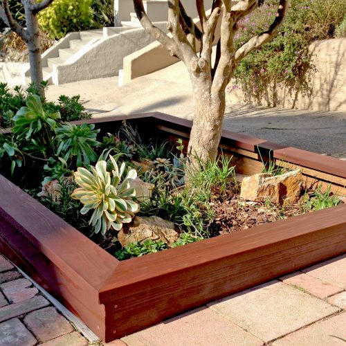 Two large beautifully stained wooden planter boxes for trees and plants planed to the unevenness of the sidewalk and street